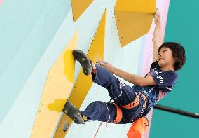 (PARIS2024)FRANCE-LE BOURGET-OLY-SPORT CLIMBING