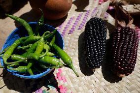 Maize Cultural Week In San Juan Ixtayopan, Tláhuac