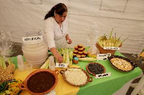 Maize Cultural Week In San Juan Ixtayopan, Tláhuac