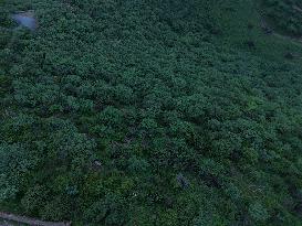 Clouds Hover Over The Mountains During The Monsoon Rain Season In Ajmer, India On 09 August 2024.