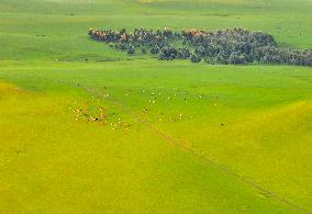 CHINA-INNER MONGOLIA-PASTURE-SUNSET (CN)