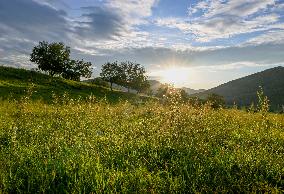 CHINA-INNER MONGOLIA-PASTURE-SUNSET (CN)