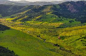 CHINA-INNER MONGOLIA-PASTURE-SUNSET (CN)