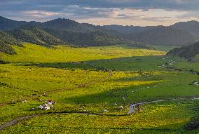 CHINA-INNER MONGOLIA-PASTURE-SUNSET (CN)