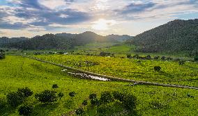 CHINA-INNER MONGOLIA-PASTURE-SUNSET (CN)