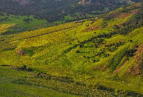 CHINA-INNER MONGOLIA-PASTURE-SUNSET (CN)