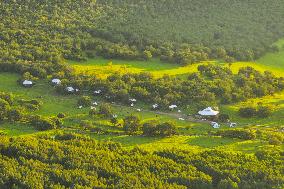 CHINA-INNER MONGOLIA-PASTURE-SUNSET (CN)