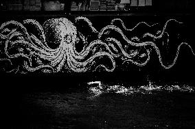 Paris 2024 - Men's 10km Marathon Swim