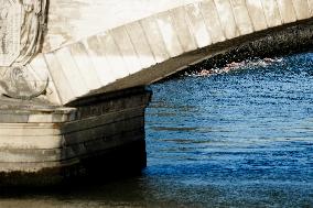 Paris 2024 - Men's 10km Marathon Swim