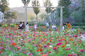 CHINA-LIAONING-BEIPIAO-QUARRY-TRANSFORMED MOUNTAIN PARK (CN)