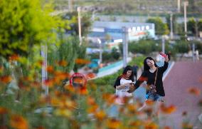 CHINA-LIAONING-BEIPIAO-QUARRY-TRANSFORMED MOUNTAIN PARK (CN)