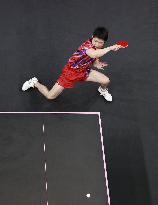 Paris Olympics: Table Tennis