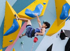 Paris Olympics: Sport Climbing