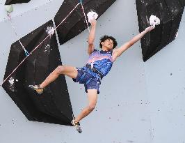 Paris Olympics: Sport Climbing