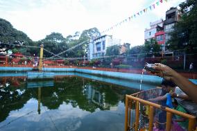 Naag Panchami Celebration In Nepal