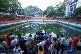 Naag Panchami Celebration In Nepal