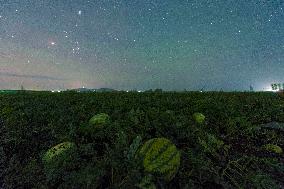 CHINA-HEILONGJIANG-FUJIN-STARRY SKY (CN)