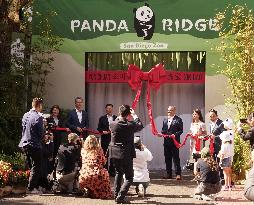 U.S.-CALIFORNIA-SAN DIEGO-PANDA DAY