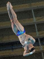 (PARIS2024)FRANCE-SAINT-DENIS-OLY-DIVING