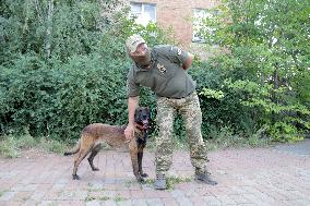 Detection dog training in Kyiv