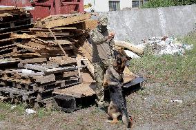 Detection dog training in Kyiv