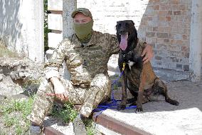 Detection dog training in Kyiv