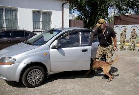 Detection dog training in Kyiv