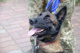 Detection dog training in Kyiv