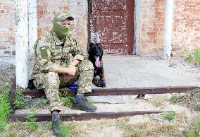 Detection dog training in Kyiv