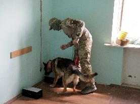 Detection dog training in Kyiv