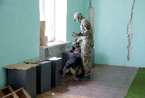 Detection dog training in Kyiv