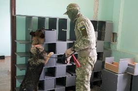 Detection dog training in Kyiv