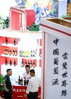 CHINA-NINGXIA-YINCHUAN-INT'L WINE EXPO (CN)