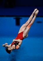 (PARIS2024)FRANCE-SAINT-DENIS-OLY-DIVING