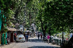 Daily Life Along Mall Road In Nainital