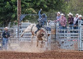 Ranch Bronc & Bull Riding