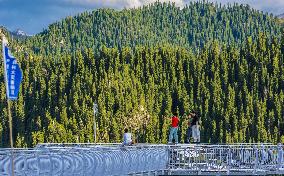 Glass Walkway