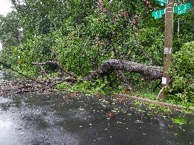 Flooding In Washington DC And Tropical Depression Debby Passes The City.