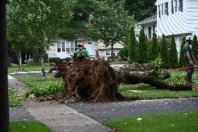 Large Tree Uprooted And Causes Major Damage To Home In Paramus New Jersey During Severe Weather