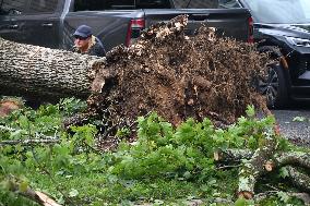 Large Tree Uprooted And Causes Major Damage To Home In Paramus New Jersey During Severe Weather