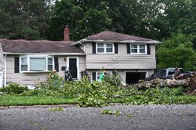 Large Tree Uprooted And Causes Major Damage To Home In Paramus New Jersey During Severe Weather