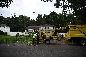 Large Tree Uprooted And Causes Major Damage To Home In Paramus New Jersey During Severe Weather