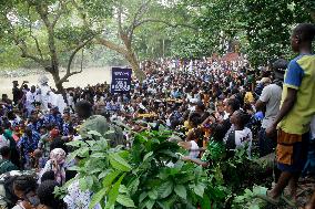 Osun Osogbo Festival 2024 In Osogbo, Nigeria