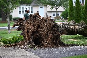 Large Tree Uprooted And Causes Major Damage To Home In Paramus New Jersey During Severe Weather