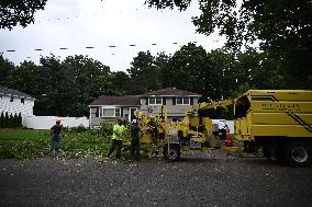 Large Tree Uprooted And Causes Major Damage To Home In Paramus New Jersey During Severe Weather