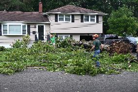 Large Tree Uprooted And Causes Major Damage To Home In Paramus New Jersey During Severe Weather