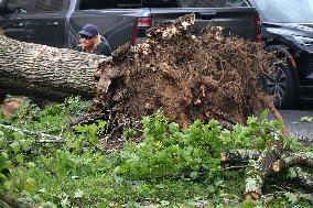 Large Tree Uprooted And Causes Major Damage To Home In Paramus New Jersey During Severe Weather