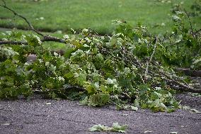 Large Tree Uprooted And Causes Major Damage To Home In Paramus New Jersey During Severe Weather