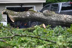 Large Tree Uprooted And Causes Major Damage To Home In Paramus New Jersey During Severe Weather