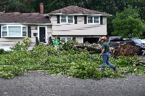 Large Tree Uprooted And Causes Major Damage To Home In Paramus New Jersey During Severe Weather